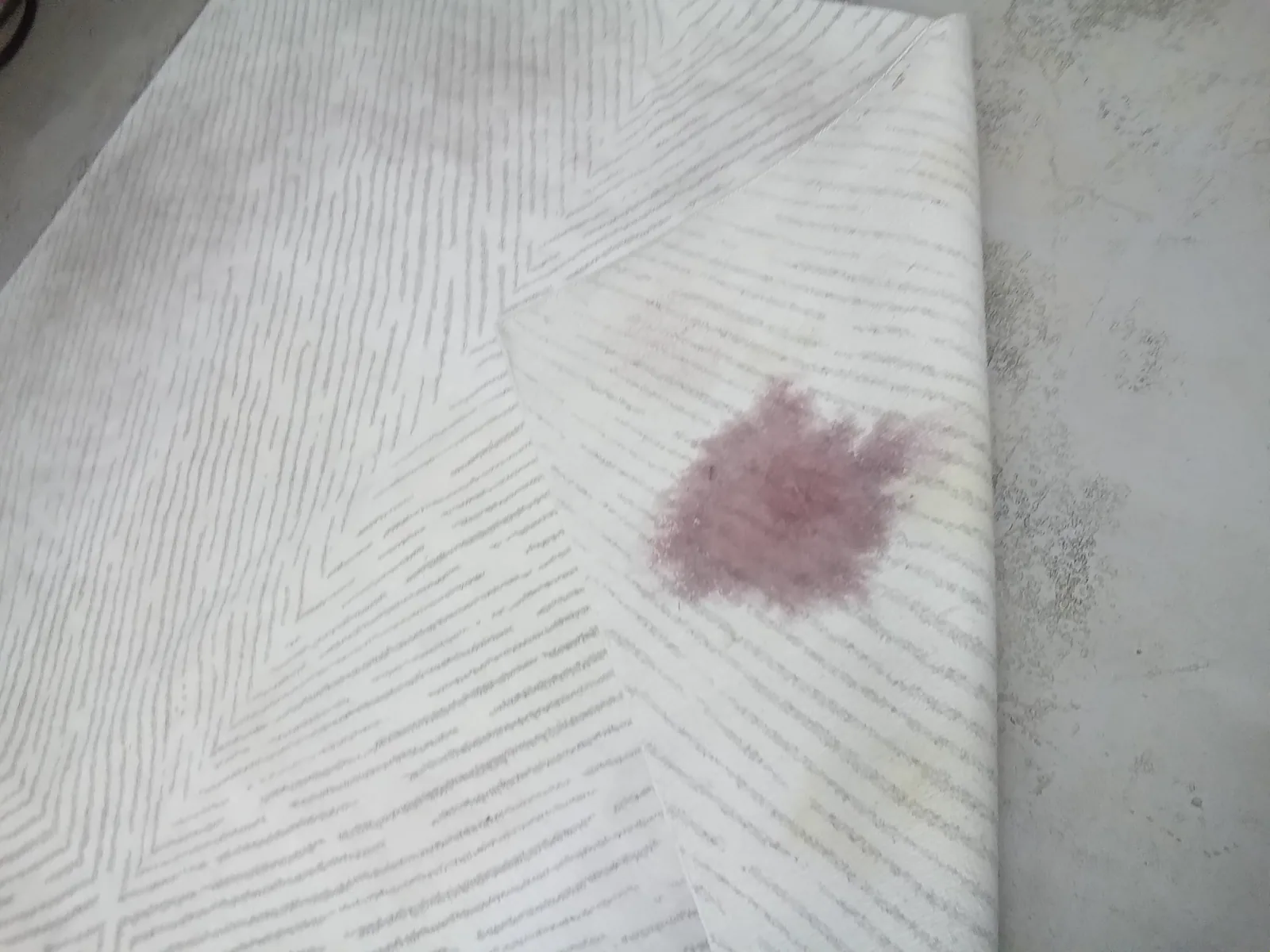 A rug laid out at the plant on the floor at the plant, collected in Boynton Beach